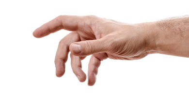 anillo de leon hombre