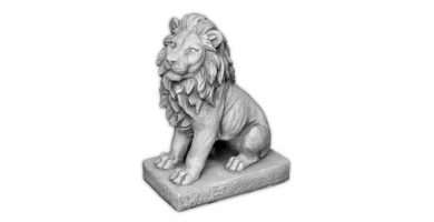 ? 】 DECORACIÓN DE LEONES | PETLEON ᐈ TIENDA ONLINE