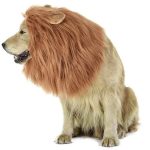 disfraz de leon para perro leones