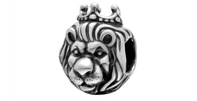 ᐈ TIENDA ONLINE DE LEONES 【 ≧^(ᴥ)^≦﻿ 】 » PETLEON «