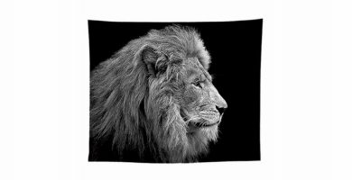 cuadro lienzo poster tapiz lamina leones leonas tapiz